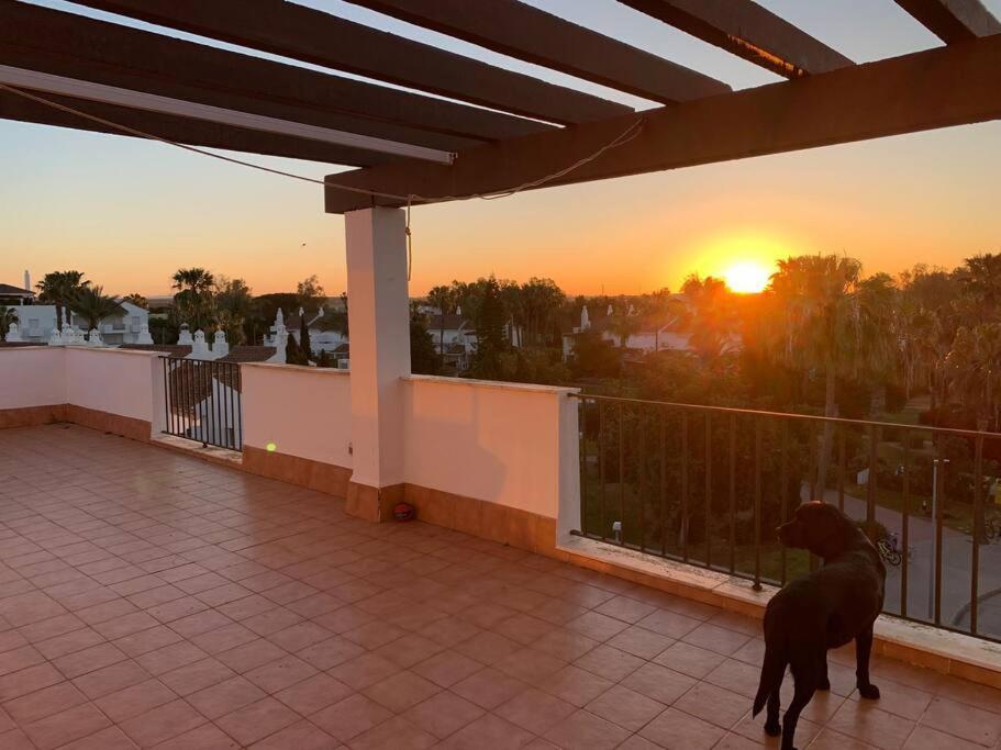Atico Costa Ballena - Cadiz Rota Eksteriør billede